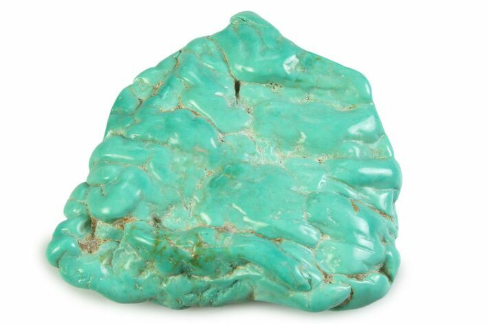 Polished Chilean Turquoise ( grams) Nugget #358836